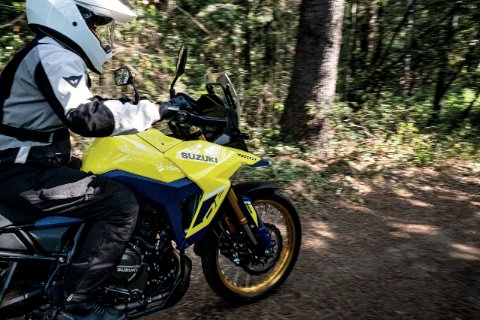 V-STROM 800DE 11