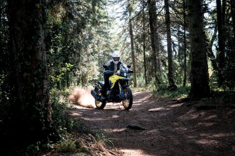 V-STROM 800DE 22