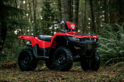 KINGQUAD 750 AUTOM. 4X4 (LT-A750XP) 7