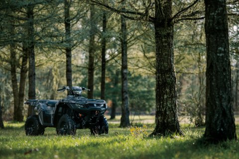 KINGQUAD 750 AUTOM. 4X4 (LT-A750XP) 16