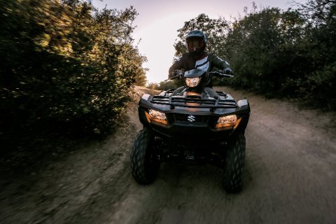 KINGQUAD 750 AUTOM. 4X4 (LT-A750XP) 38