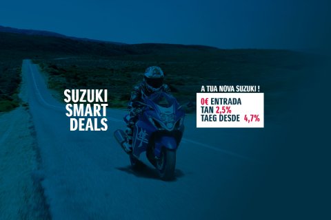 Verão Naked Suzuki